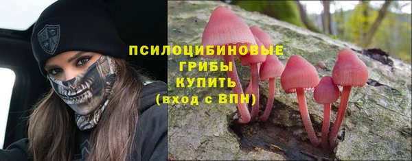 MESCALINE Вяземский